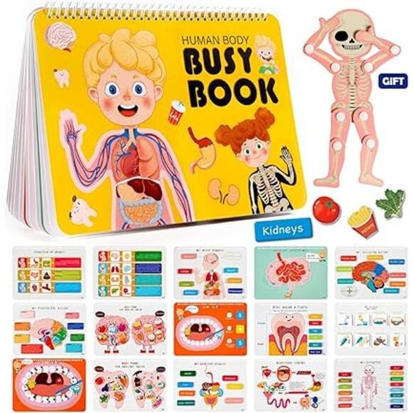 Freebear Montessori Busy Book for Kids, Human Body Anatomy Book for Toddlers, - Picture 7 of 7